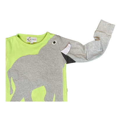 Pullover mit Elefant aus Baumwoll-Jersey - Farbe pistazie grün